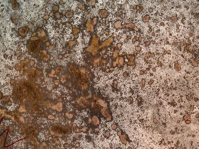 Professional commercial flood cleanup services in Alexandria - water damage restoration service